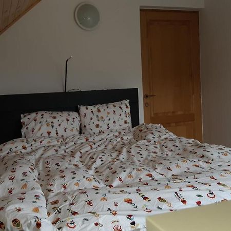 Strada Tiszas Vacation House BaileTusnad Eksteriør billede