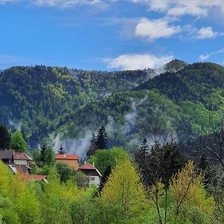 Strada Tiszas Vacation House BaileTusnad Eksteriør billede