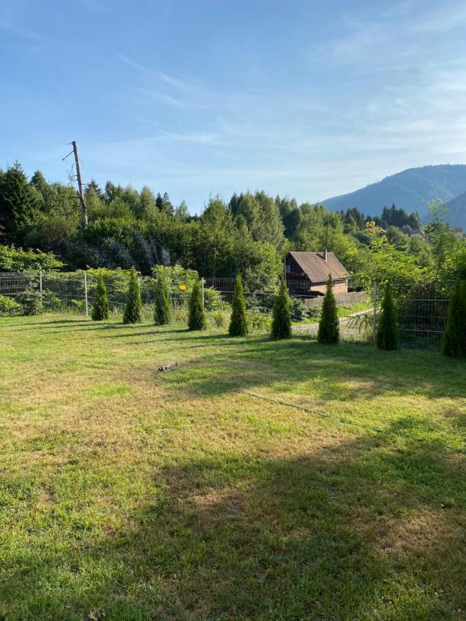 Strada Tiszas Vacation House BaileTusnad Eksteriør billede