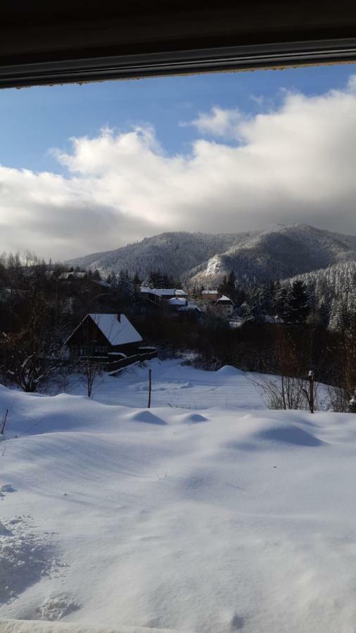 Strada Tiszas Vacation House BaileTusnad Eksteriør billede